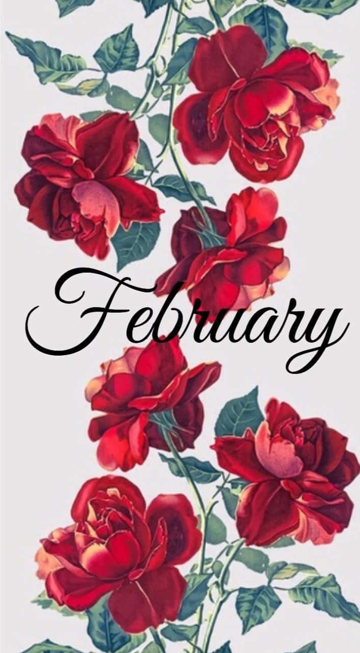 Start your February with excitement and happiness! Wallpaper