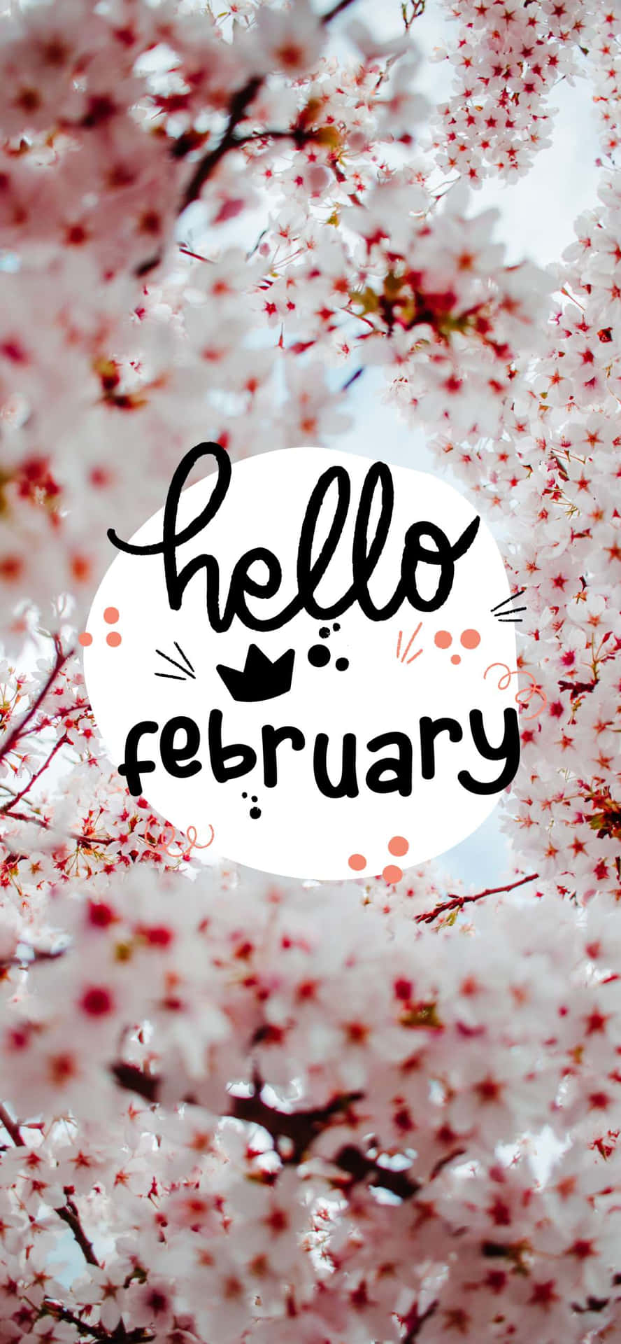 Hello February! Wallpaper