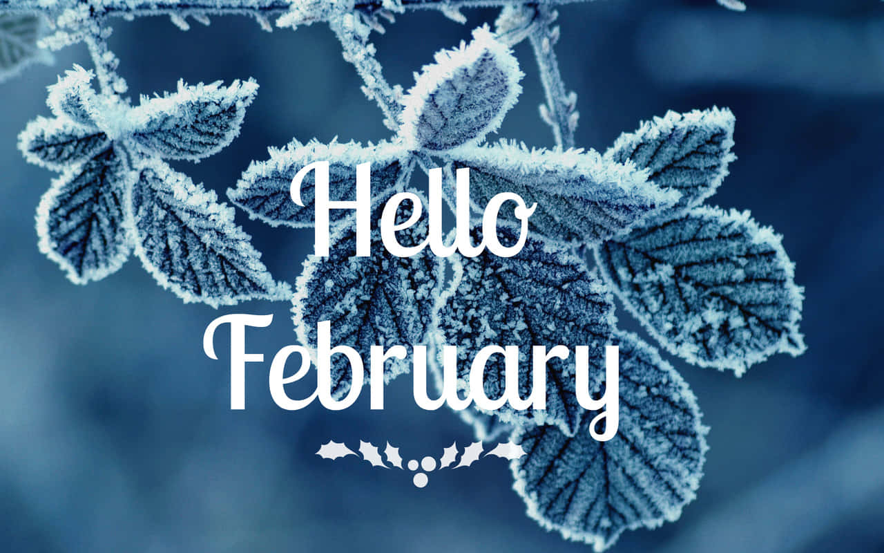 Welcome February, bringing new beginnings and new opportunities Wallpaper