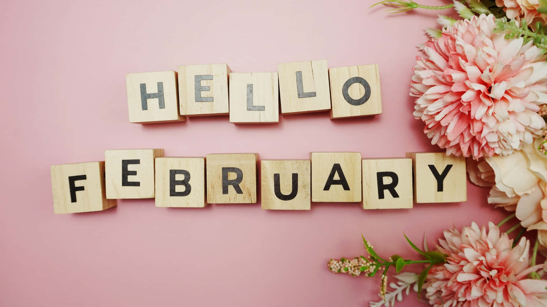 Hello February Wooden Blocks Floral Background Wallpaper