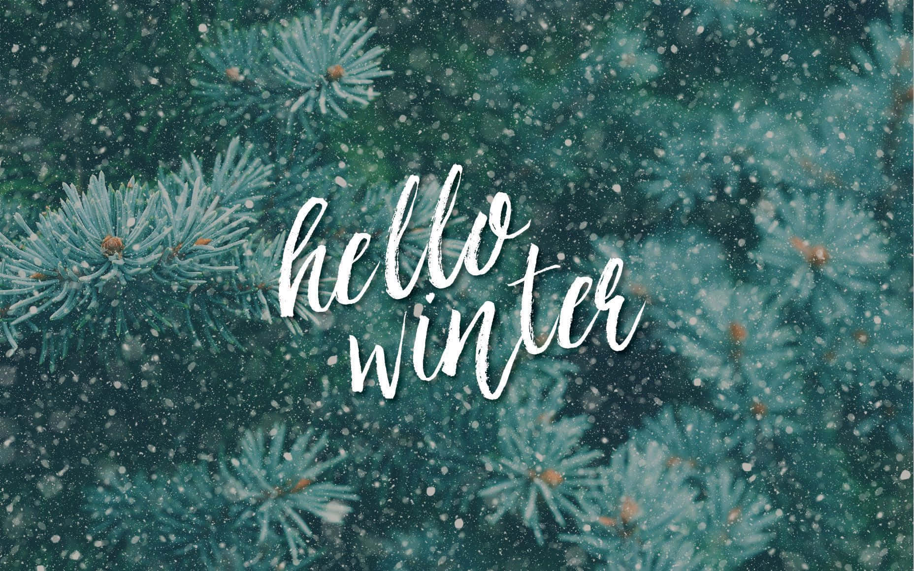 Hello Winter Wallpaper Wallpaper