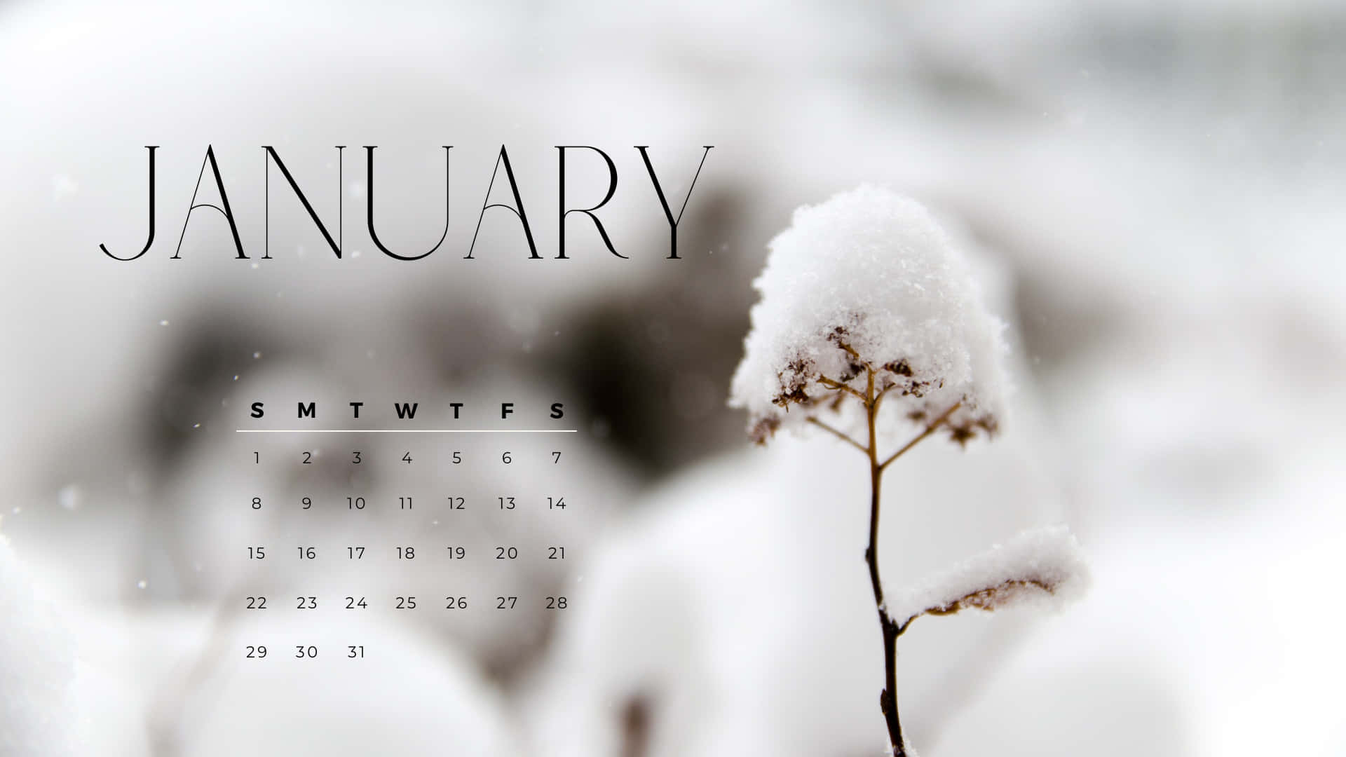 Forget what has passed and welcome the new beginnings in January. Wallpaper