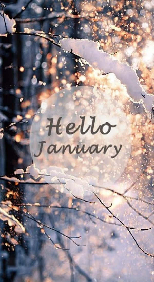 Välkommentill Januari - En Ny Start På Ett Nytt År! Wallpaper