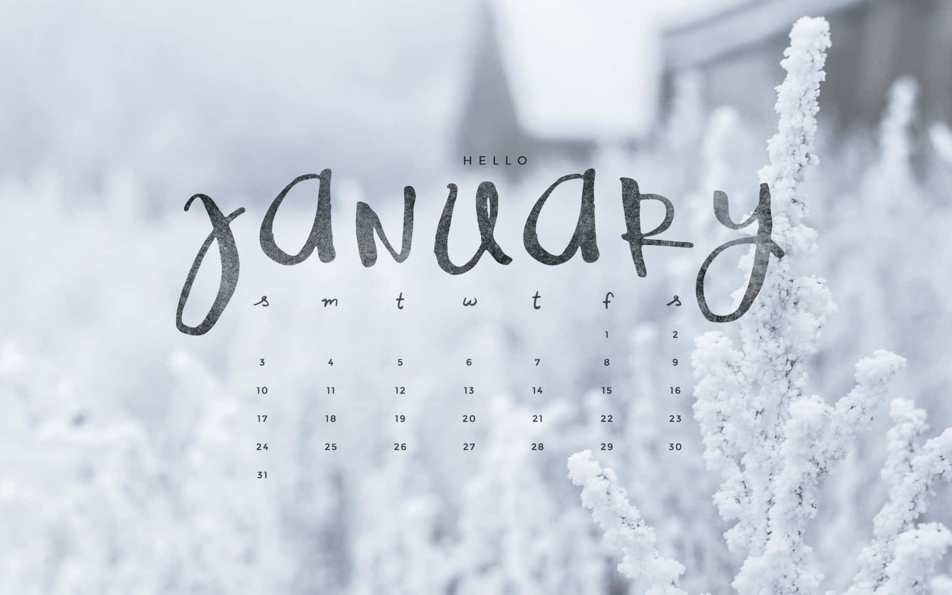 Welcome in the new year with Hello January! Wallpaper