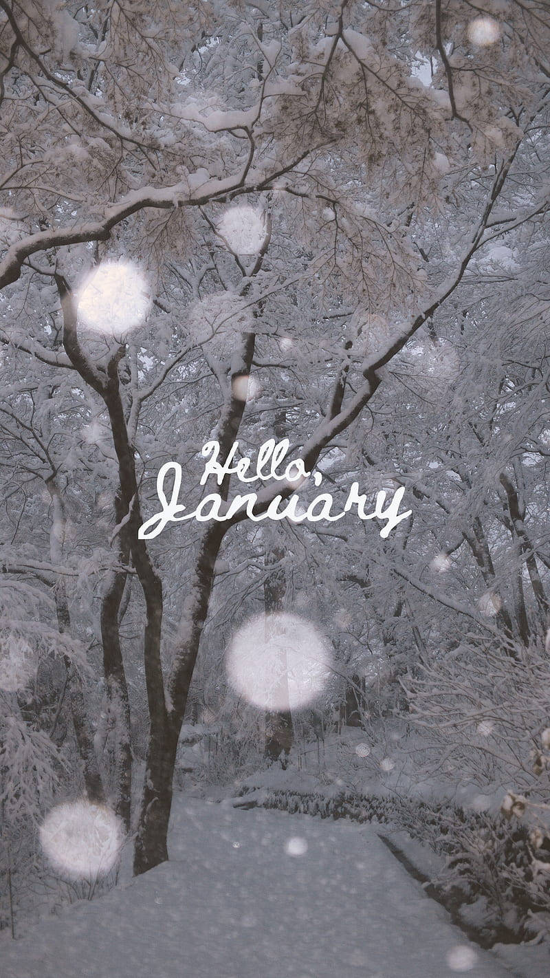 Hello January In Snow Wallpaper