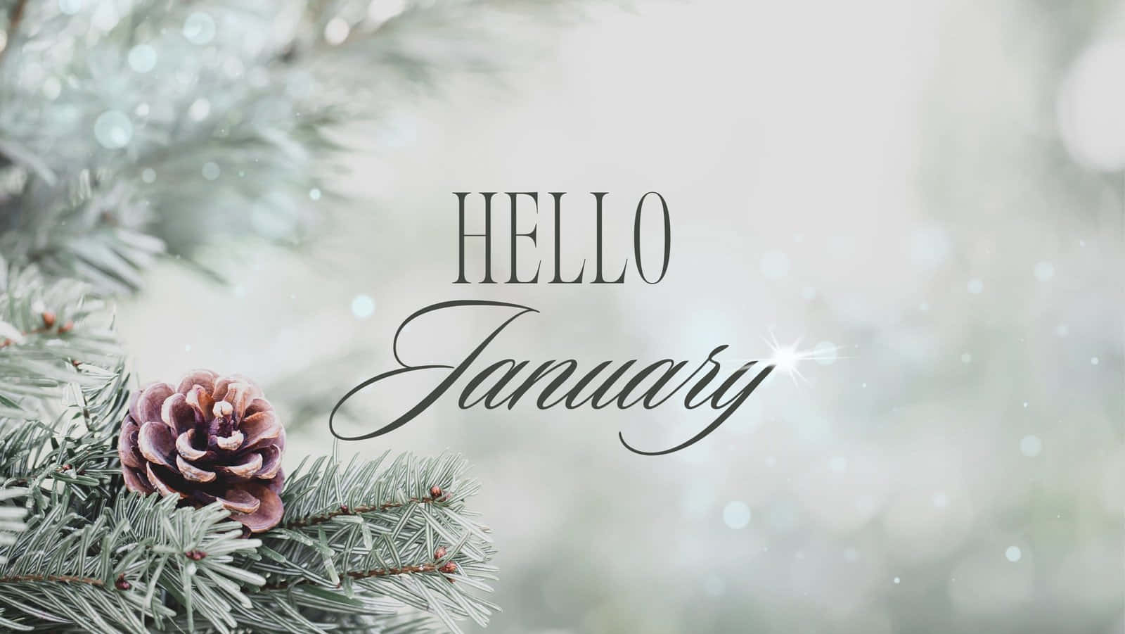 Välkommentill Januari! Wallpaper