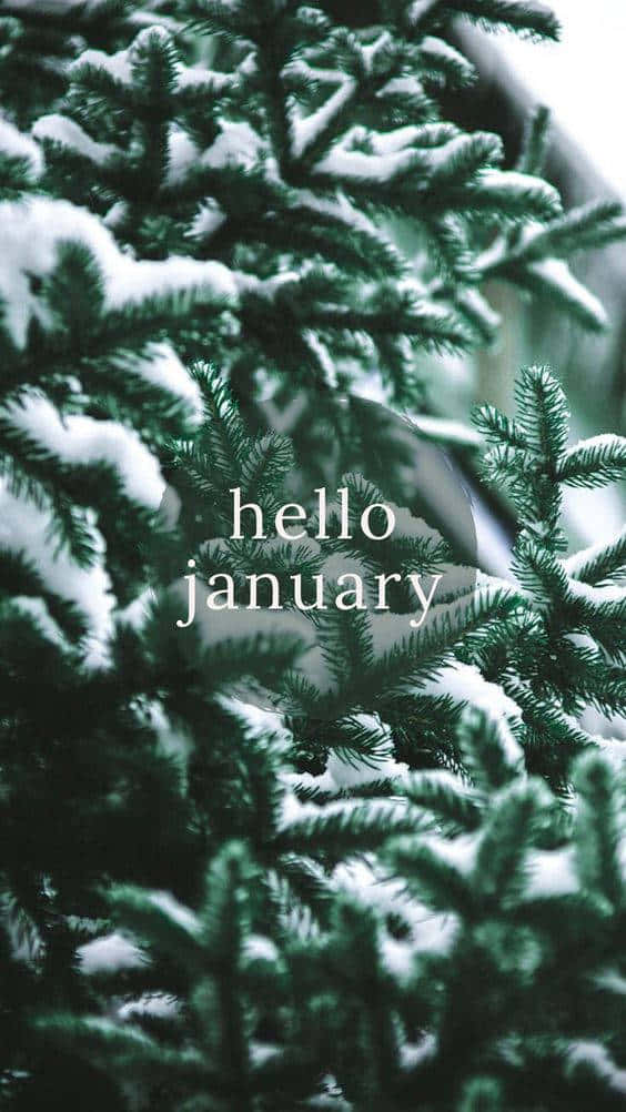 Welcome January, a month of fresh beginnings Wallpaper