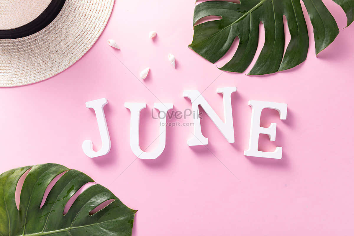 Say Hello to June! Wallpaper