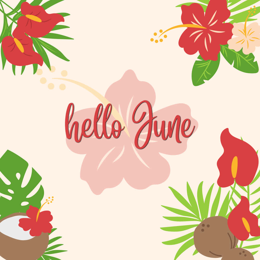 hello june greeting card with flowers and coconut Wallpaper