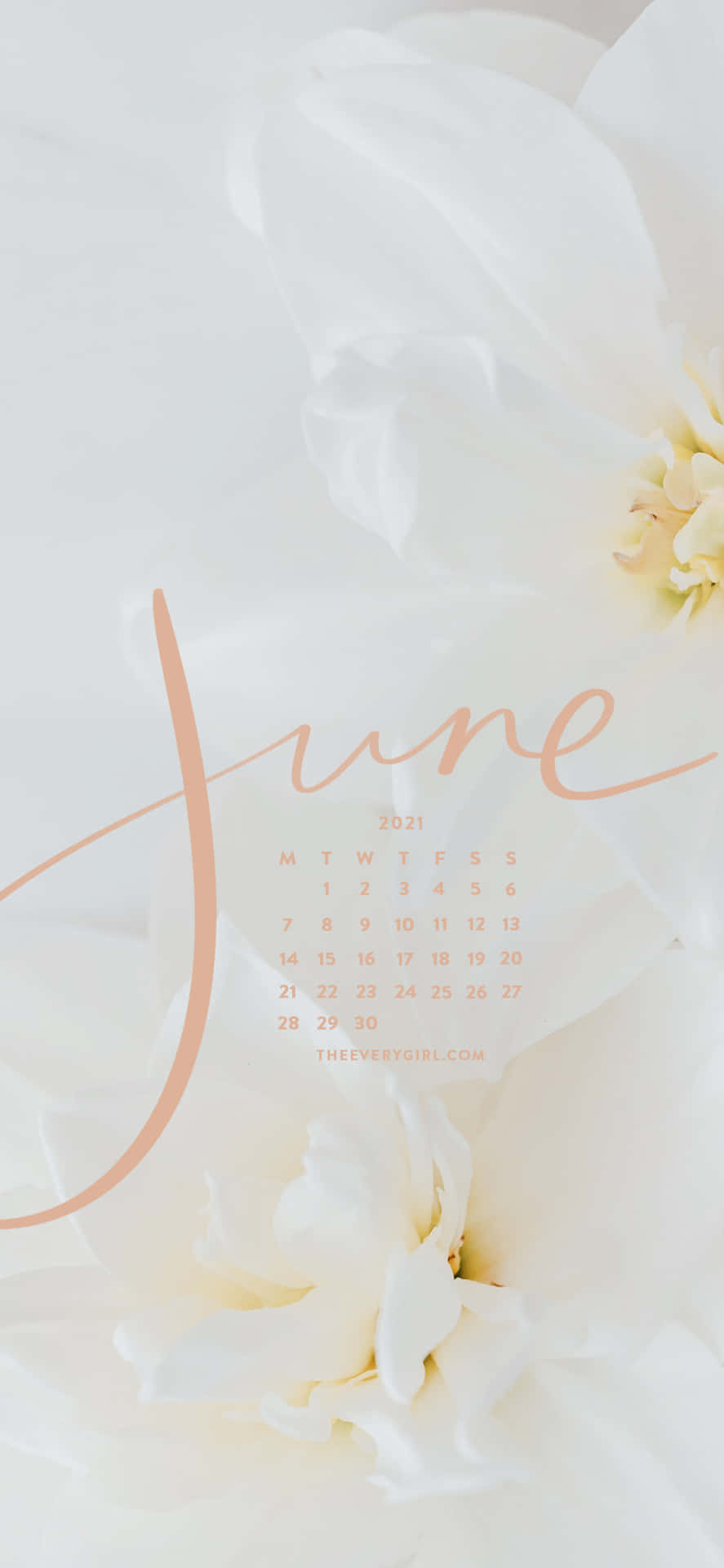 june calendar with white flowers Wallpaper