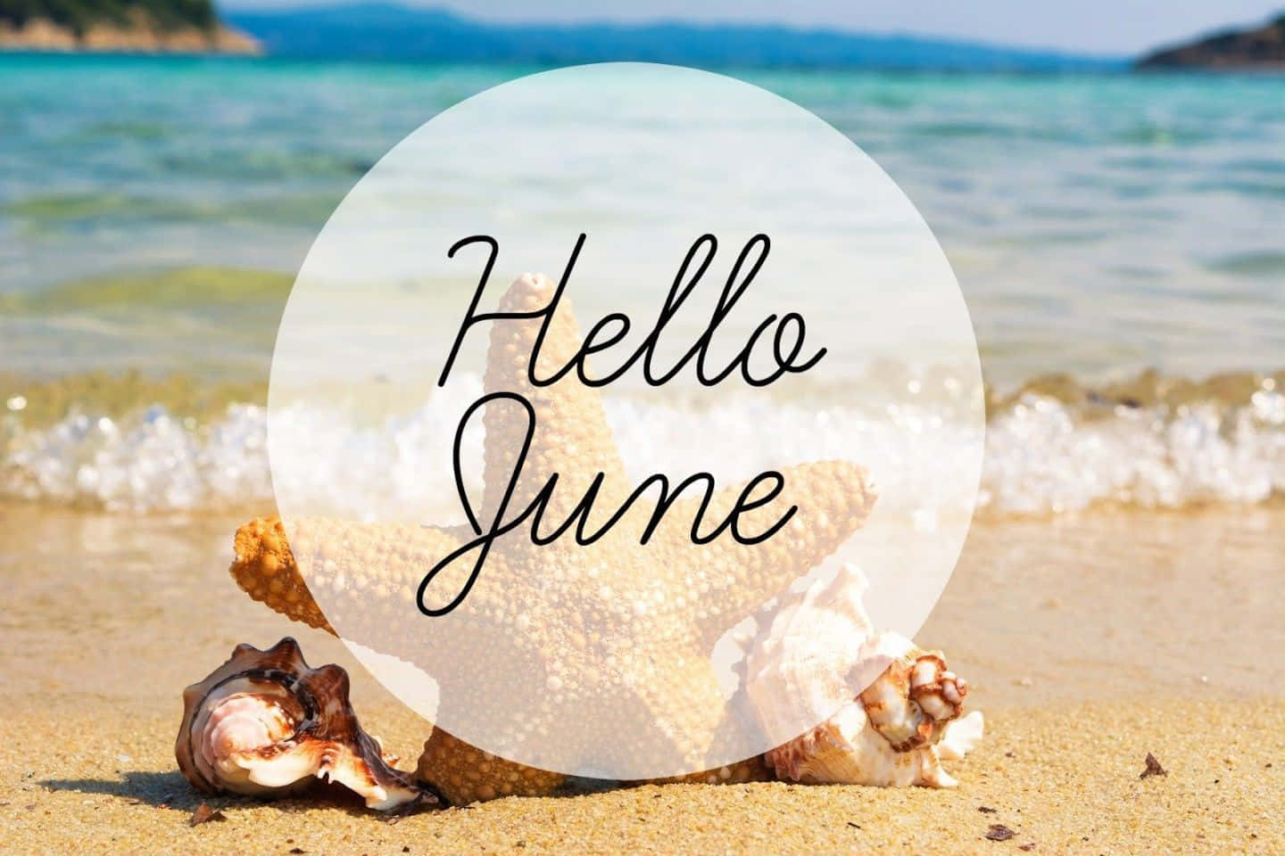 hello june on the beach with starfish Wallpaper