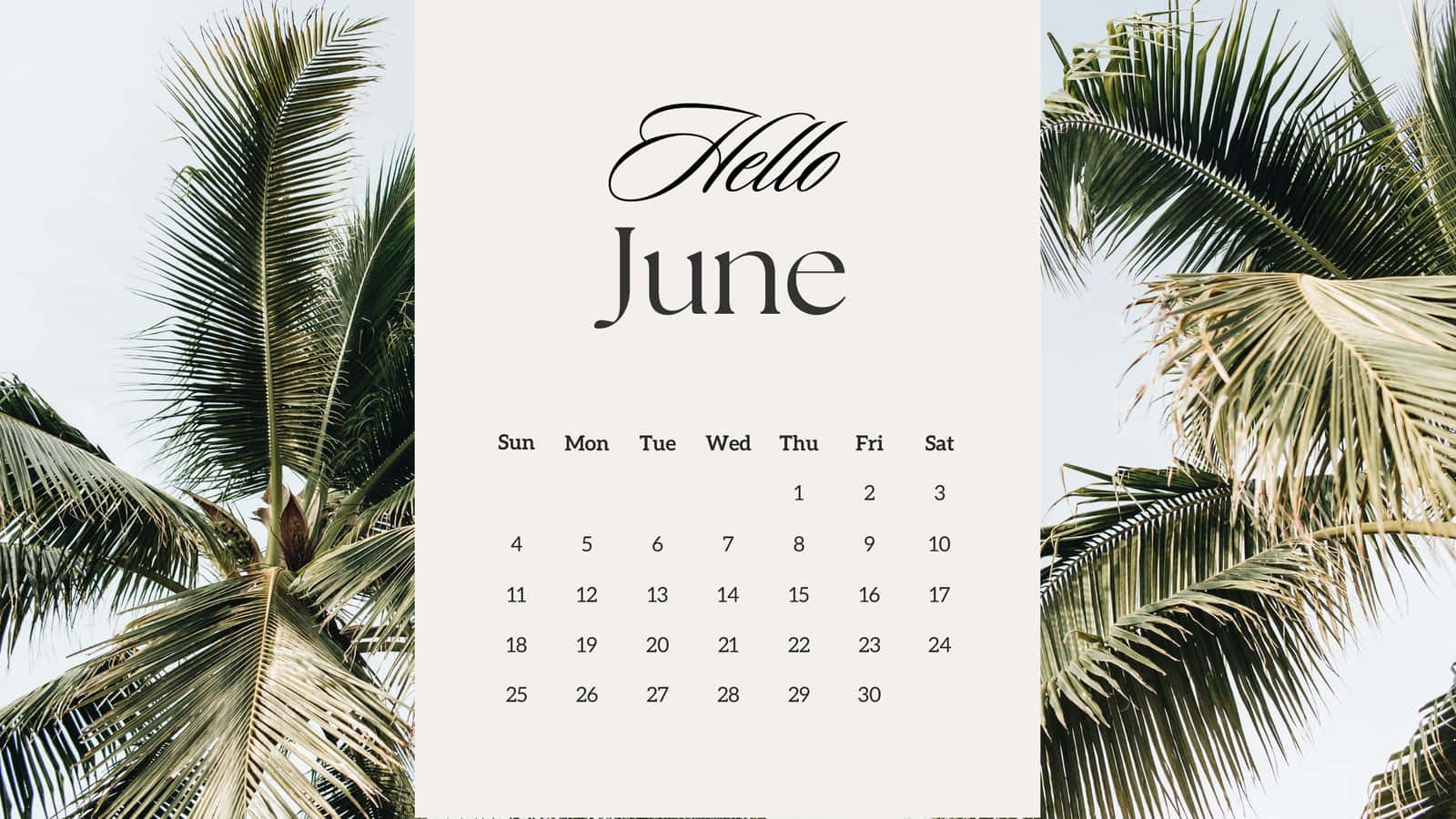 Hello June Calendar Palm Trees Wallpaper