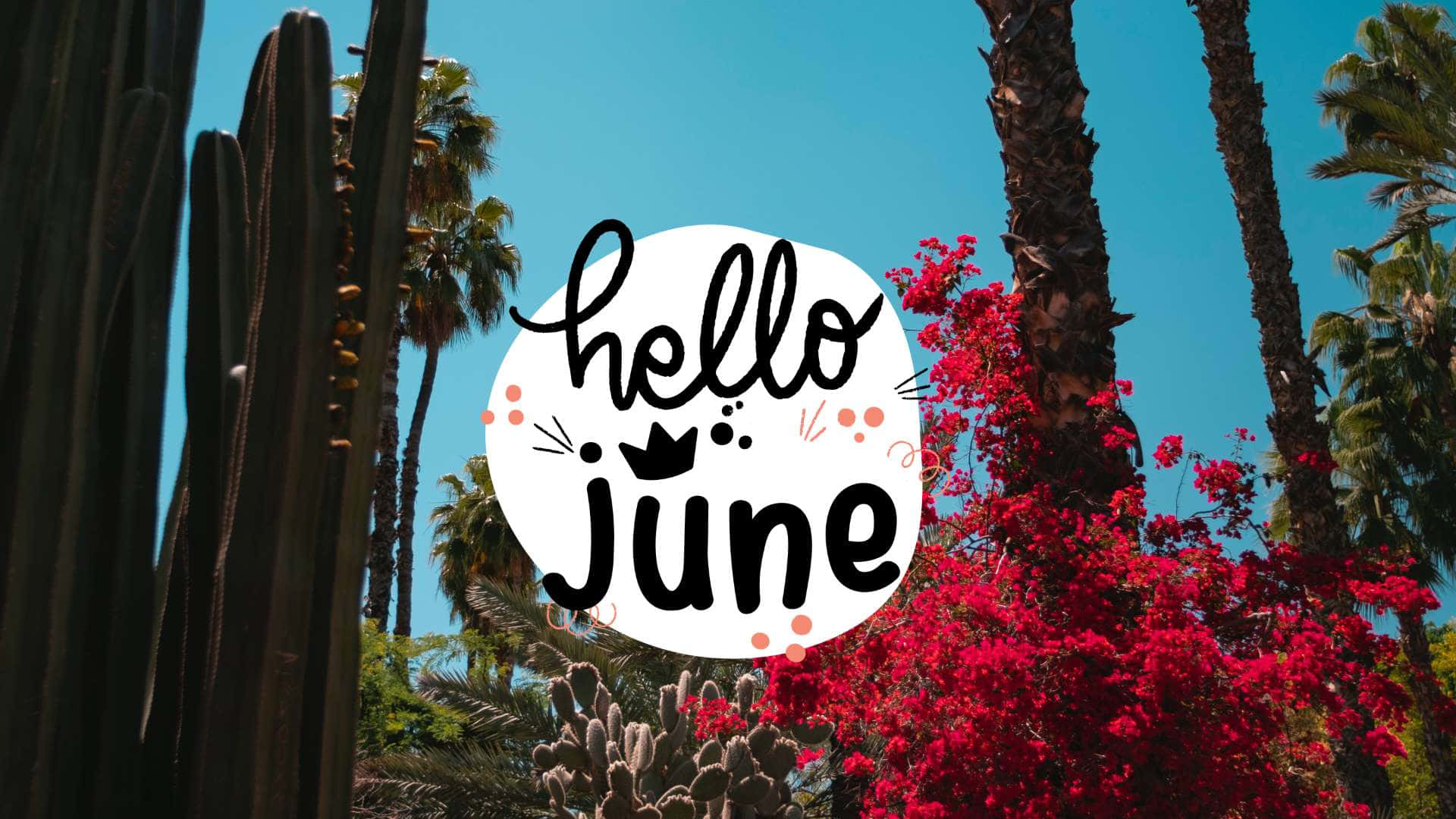 hello june with cactus and trees Wallpaper