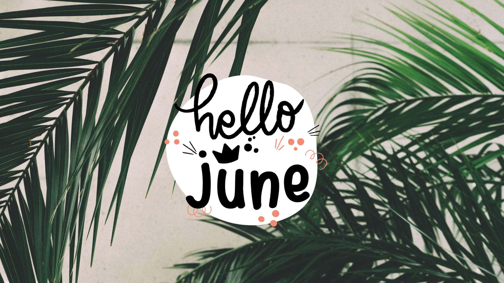 Hej juni med en baggrund af palmeblade Wallpaper