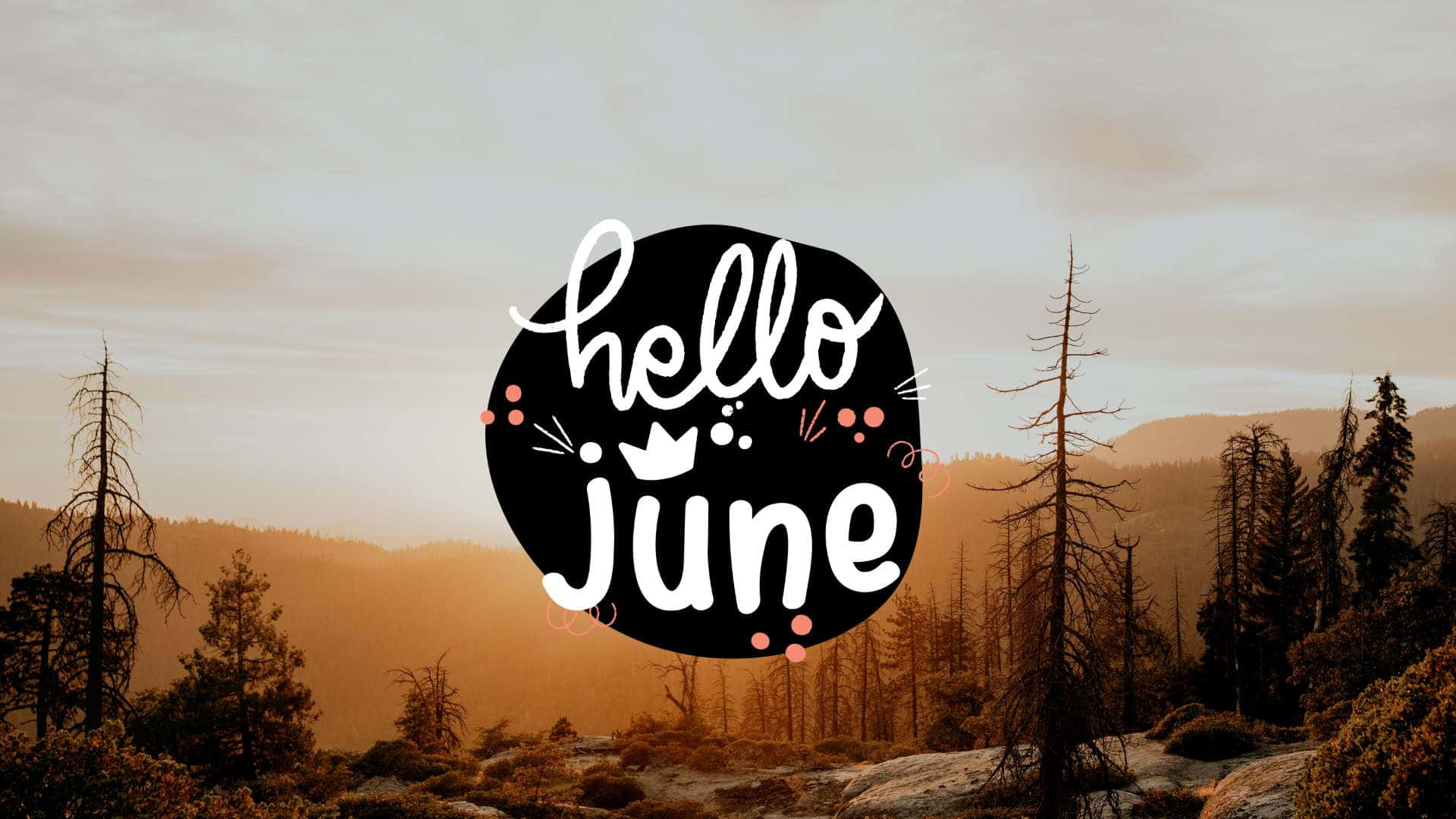 hello june logo with trees and mountains Wallpaper