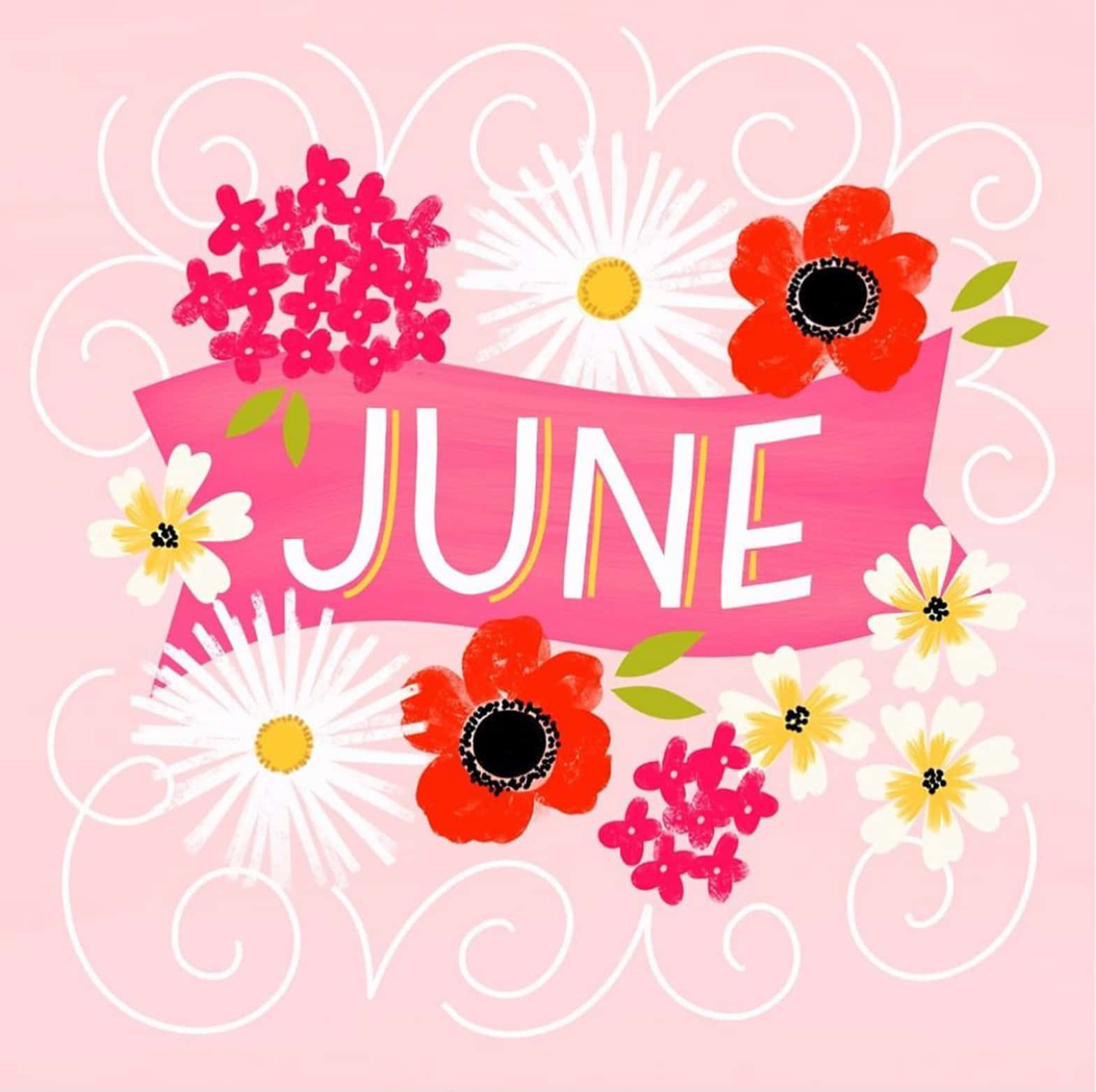 June Greeting Card With Flowers And Ribbon Wallpaper