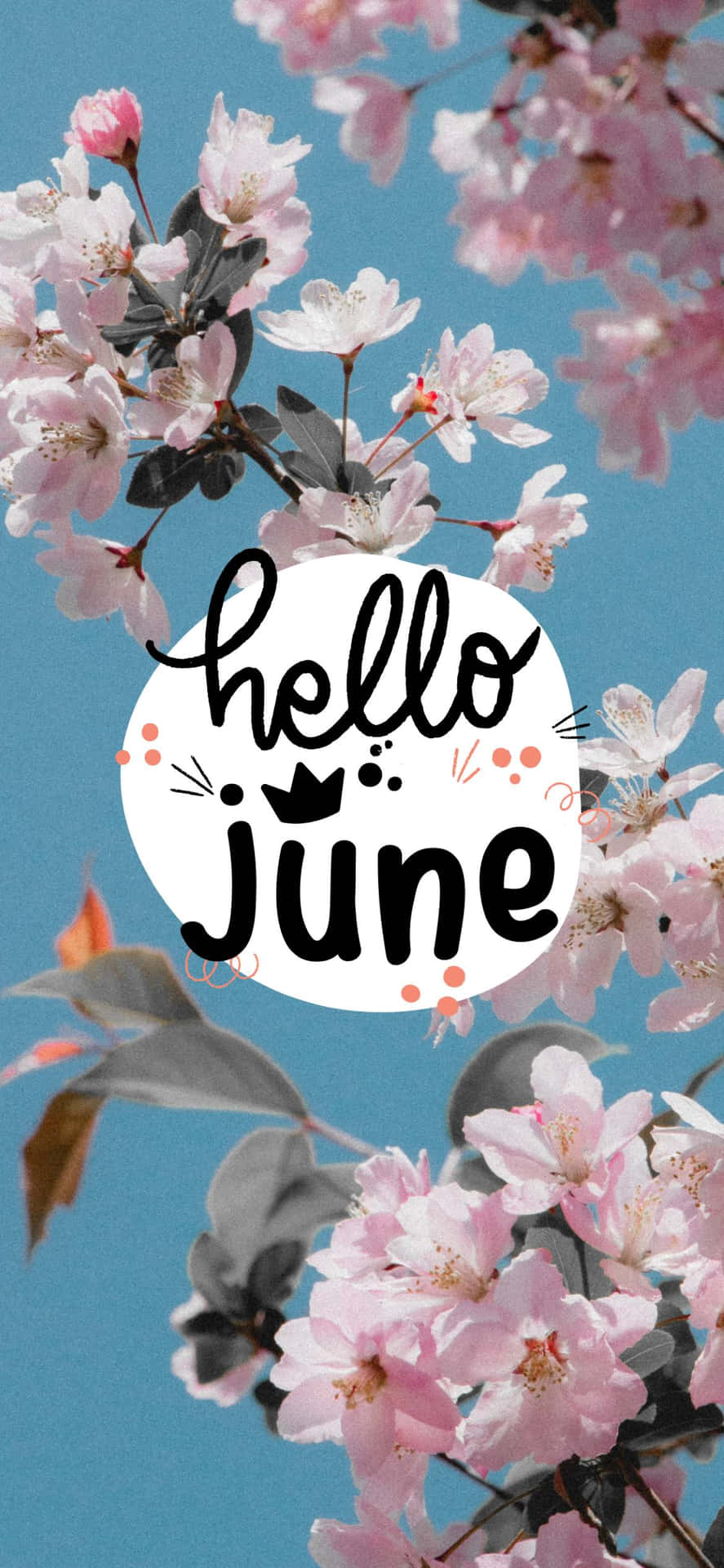 Hej juni - et pink blomst med ordene hej juni Wallpaper