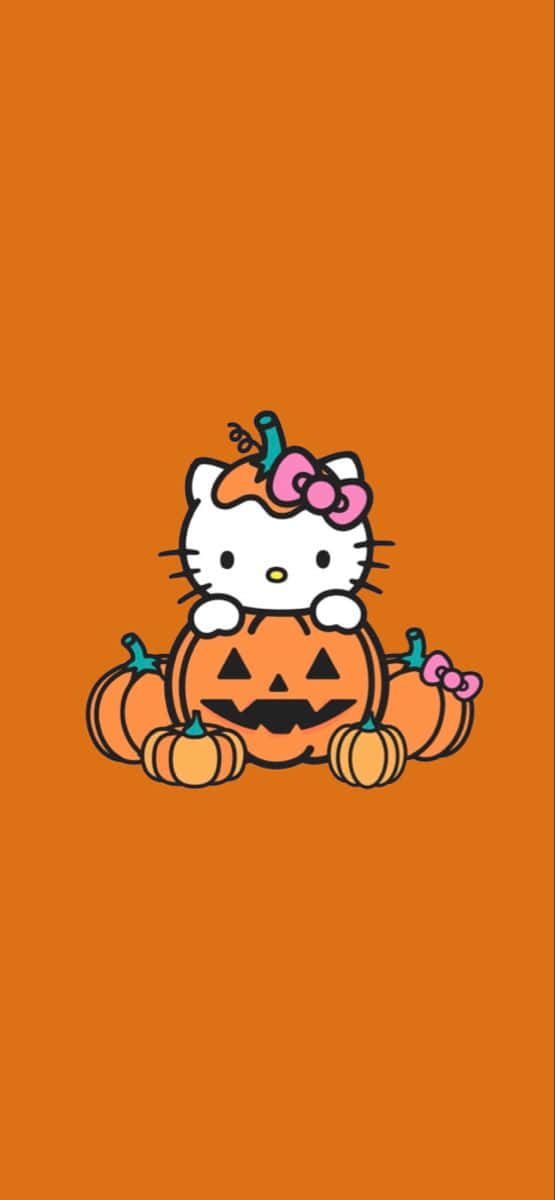 Hello Kitty Halloween Pumpkin Wallpaper