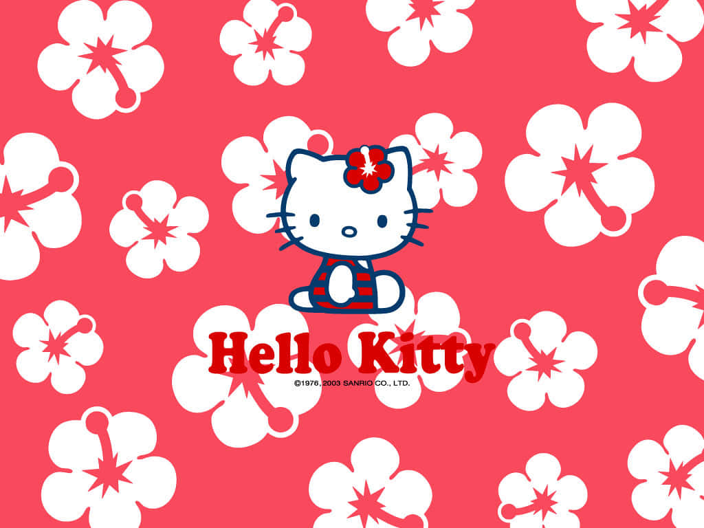 Vielspaß Mit Hello Kitty Pc Grafiken Und Anpassungsmöglichkeiten. Wallpaper