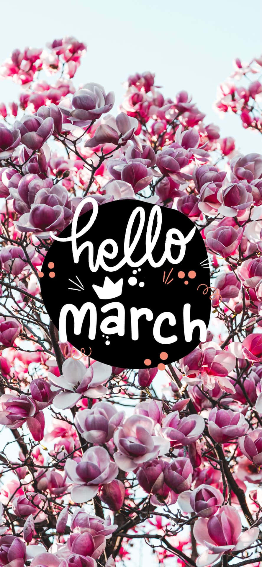 Velkommen marts! Den smukke blomstrende forårsmønster gør enhver computerskærm skinne. Wallpaper