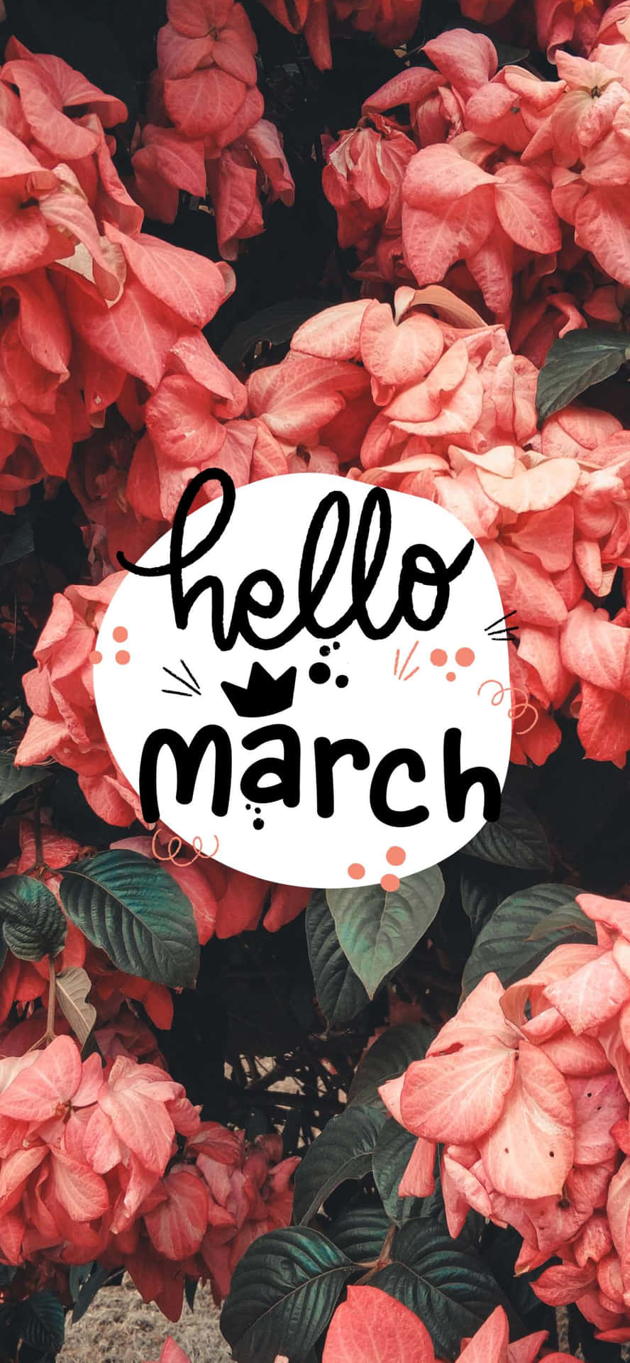 Welcome March! Wallpaper