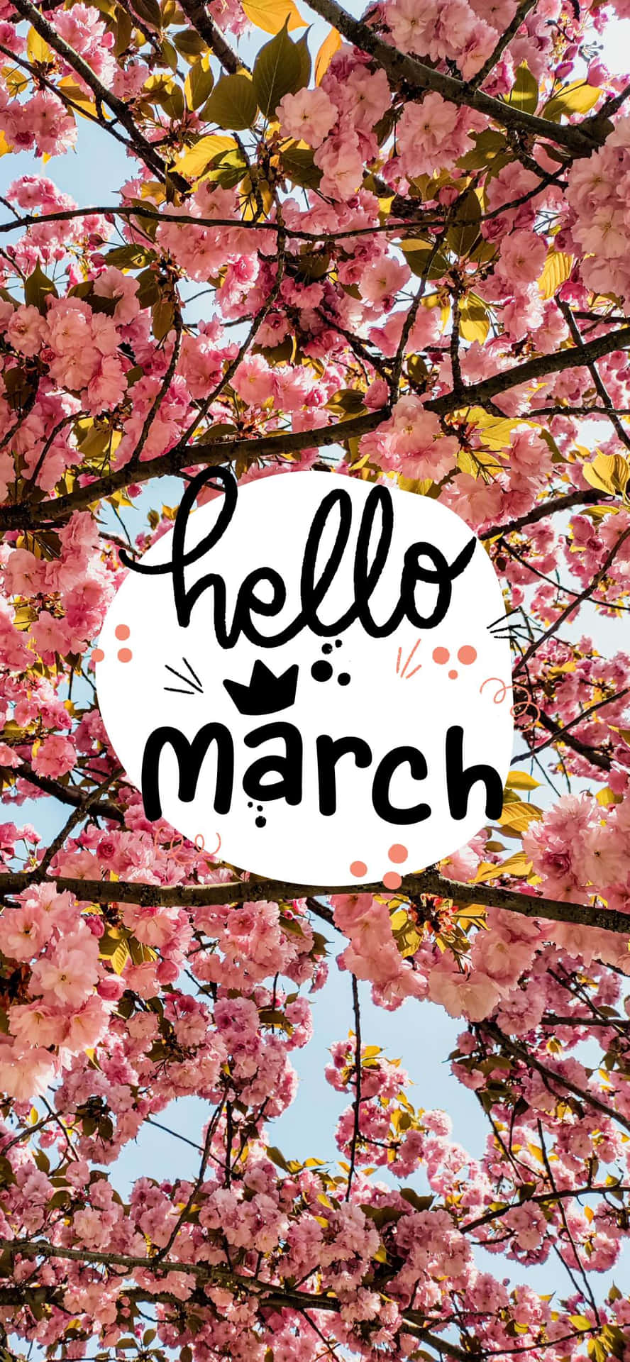 "Say hello to the new month!" Wallpaper