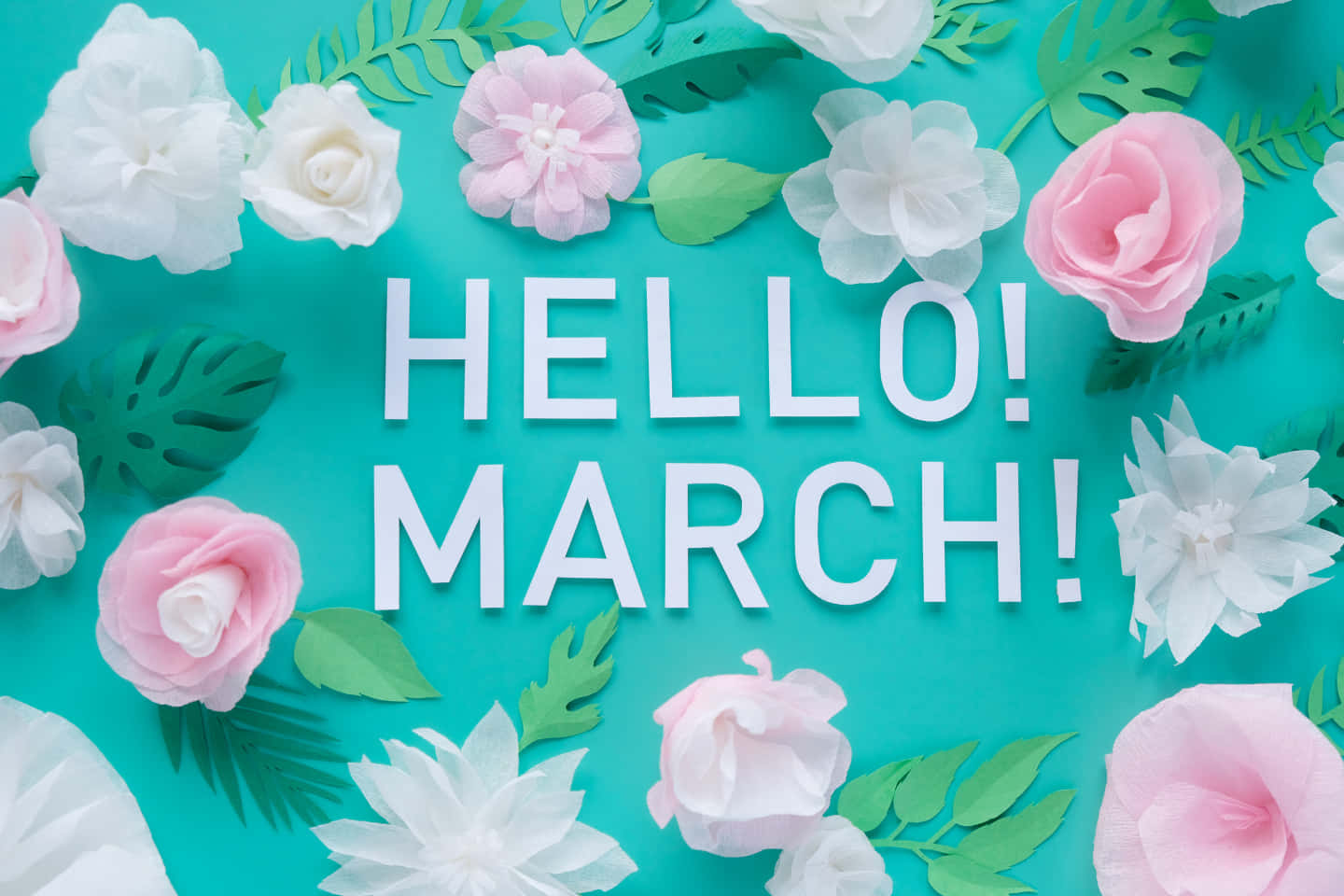 Hello March White And Pink Flowers Wallpaper