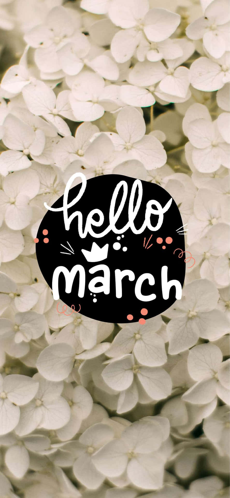 Hello March Floral Greeting Wallpaper