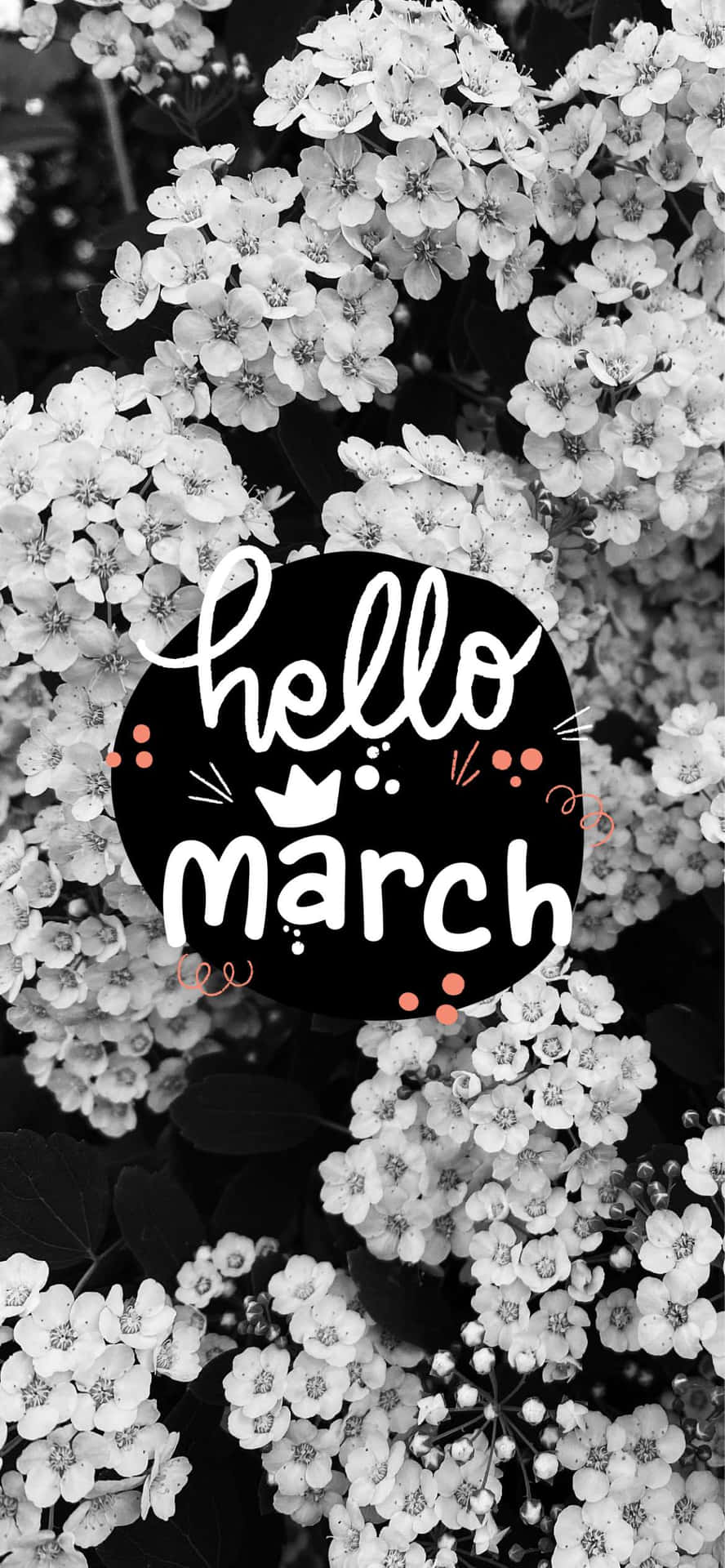 "embrace The Freshness Of Spring - Hello, March!" Wallpaper