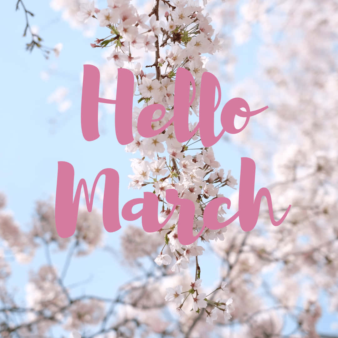 Hello March Cherry Blossom Tree Wallpaper