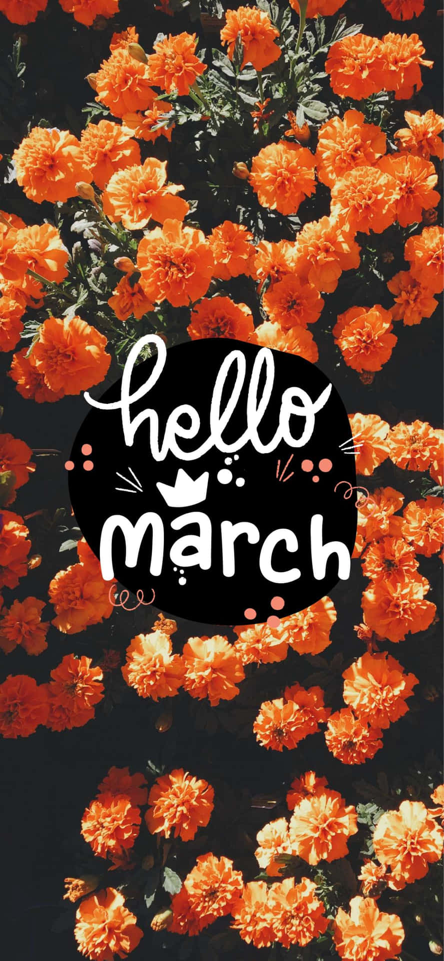 Hello March Orange Flowers Greeting Wallpaper