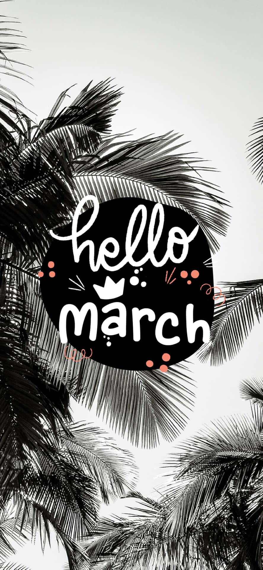 Hello March Palm Leaves Aesthetic Wallpaper