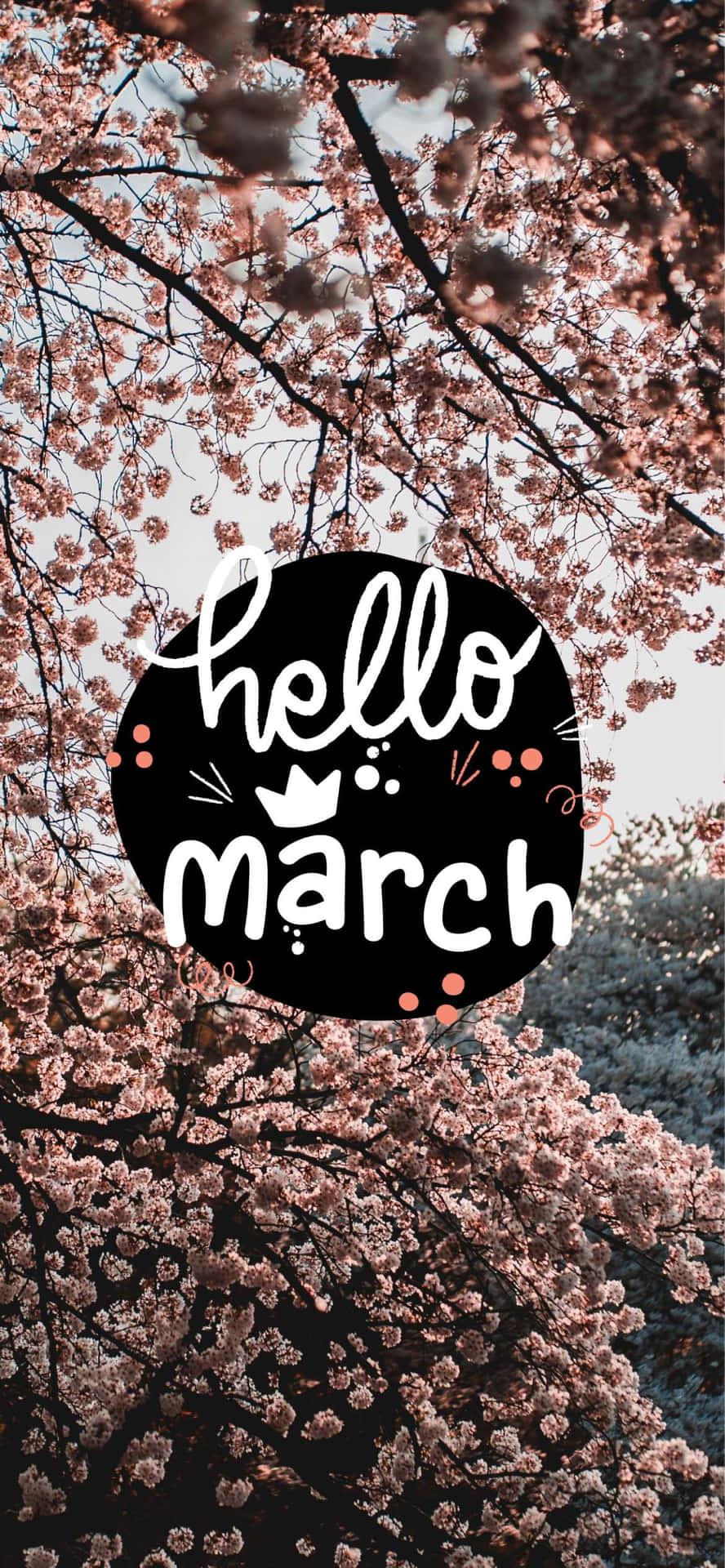 Wallpaper iPhonespringhello March   February wallpaper Hello march  Christmas collage