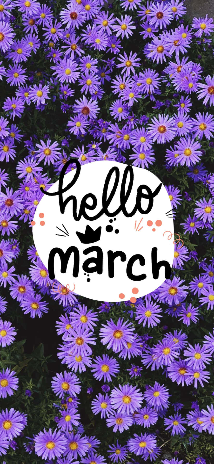 Hello March Blue Wood Asters Wallpaper