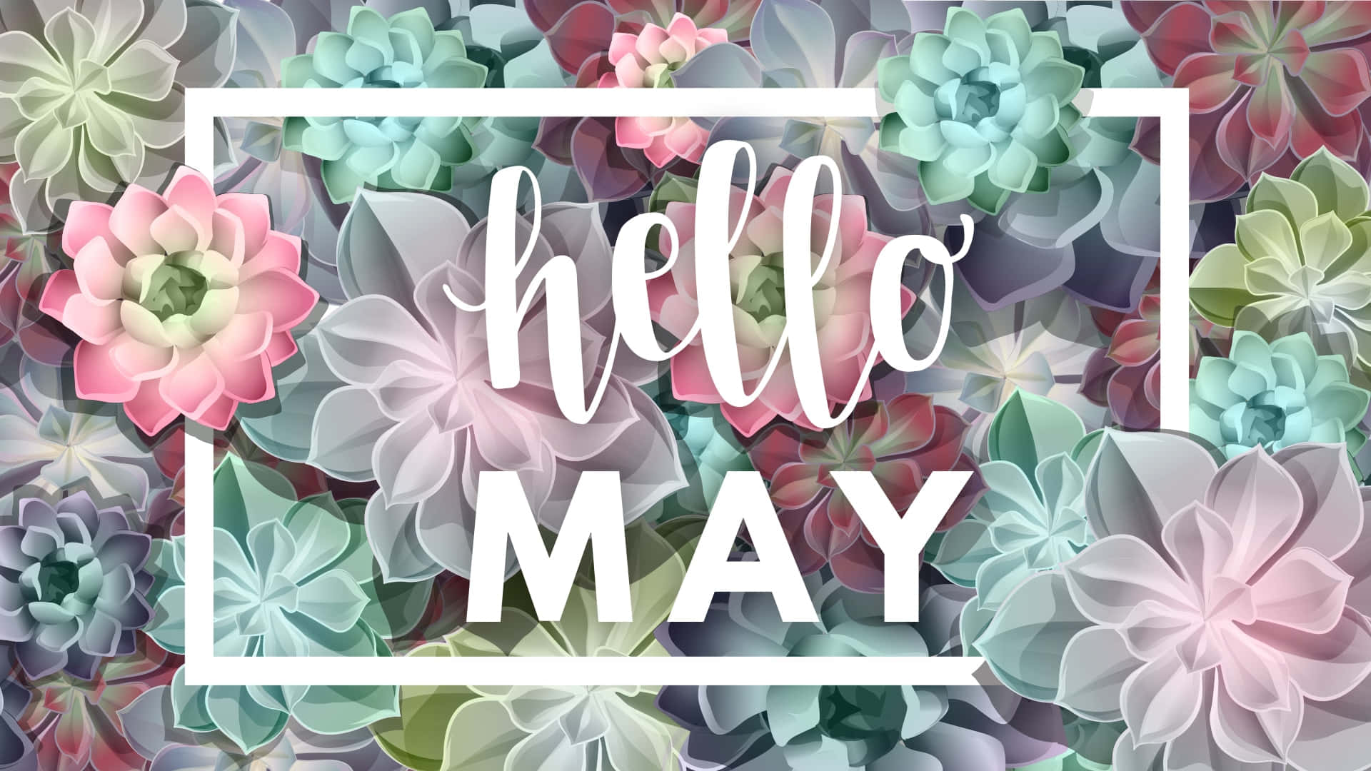 Hello May Floral Desktop Background Wallpaper