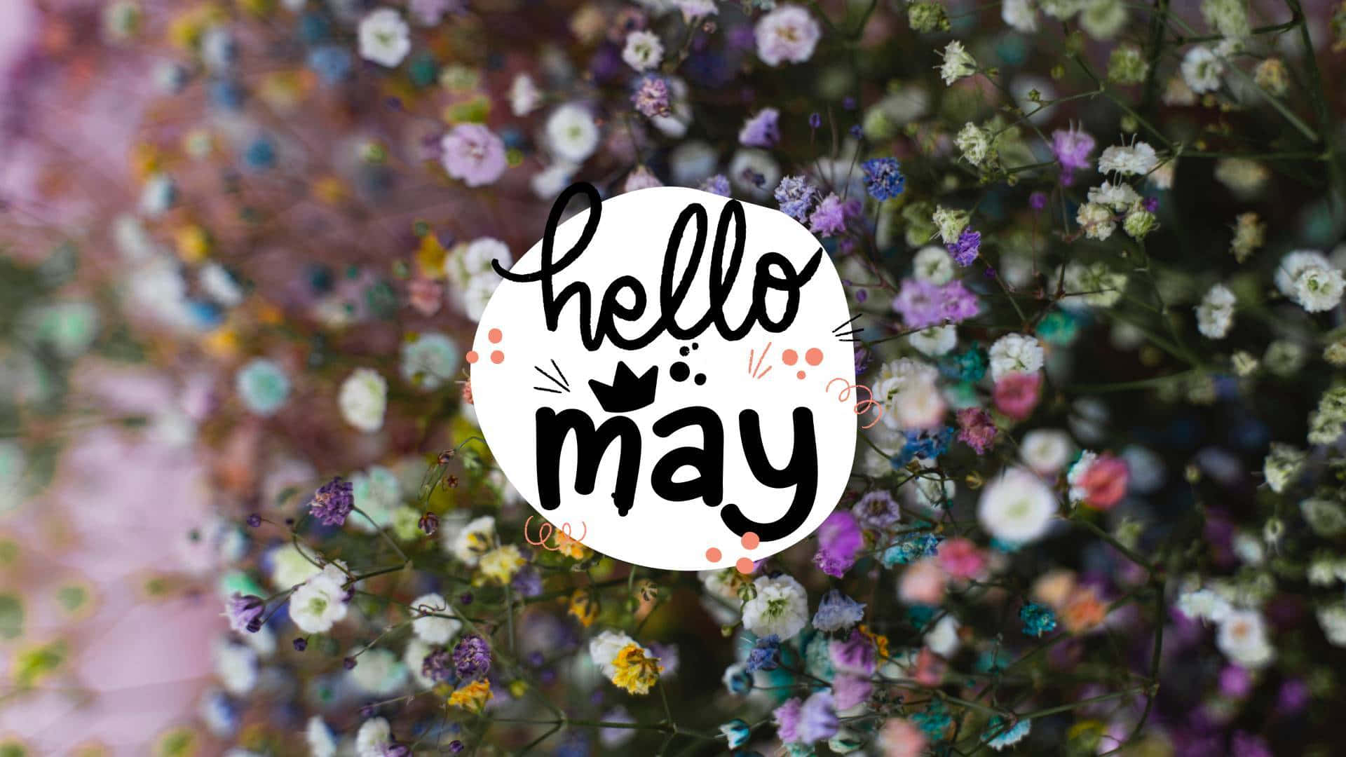 Hello May Floral Greeting Wallpaper