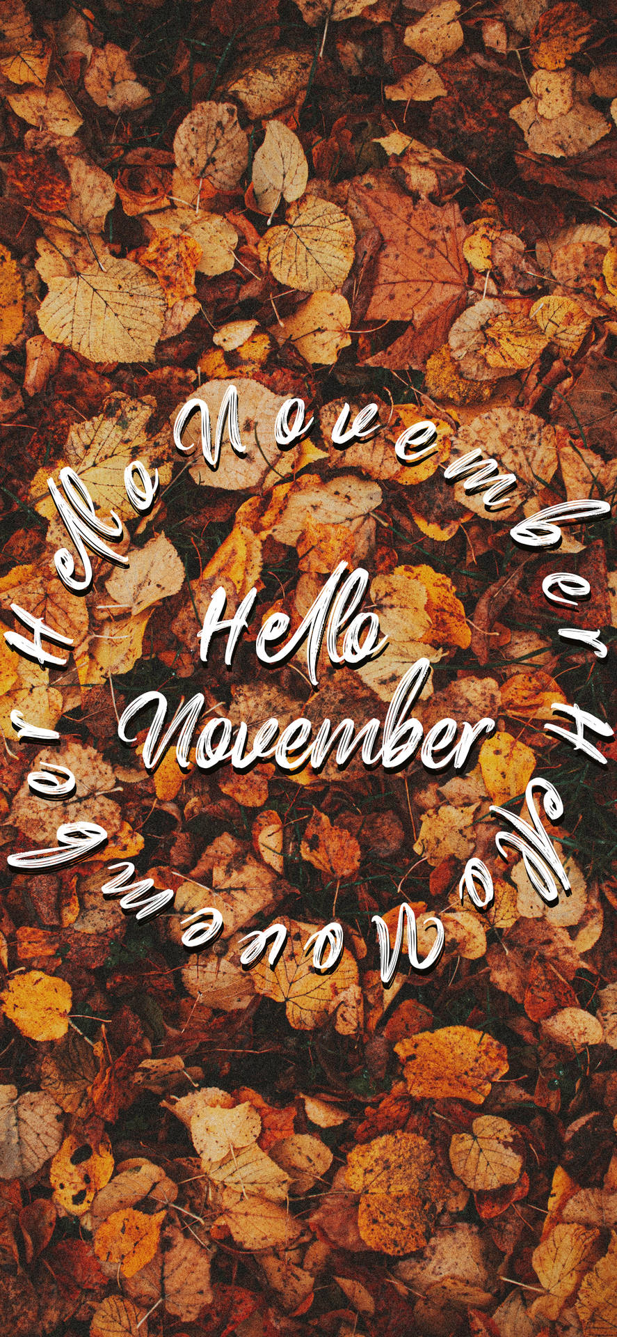 Hello November On Autumn Leaves
