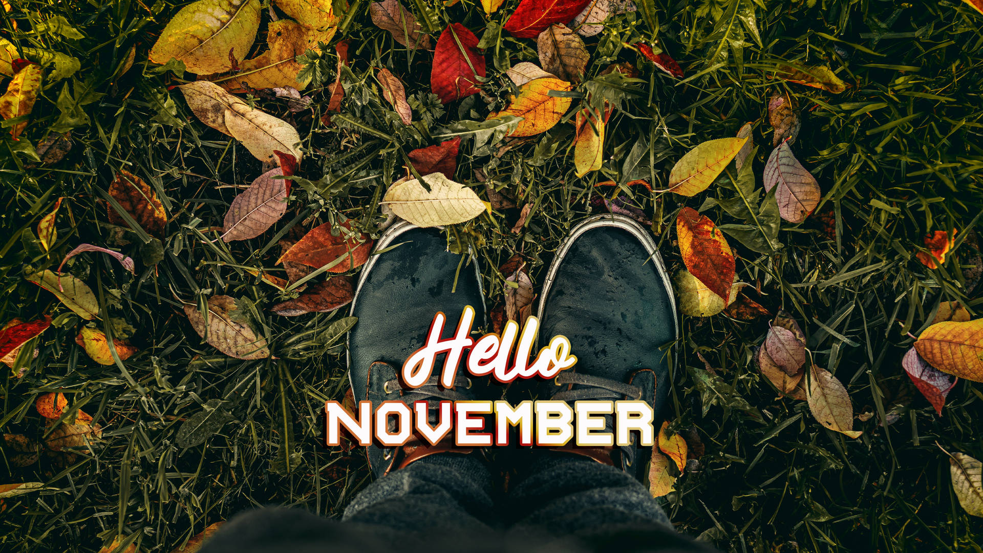 Hello November Shoes On Grass