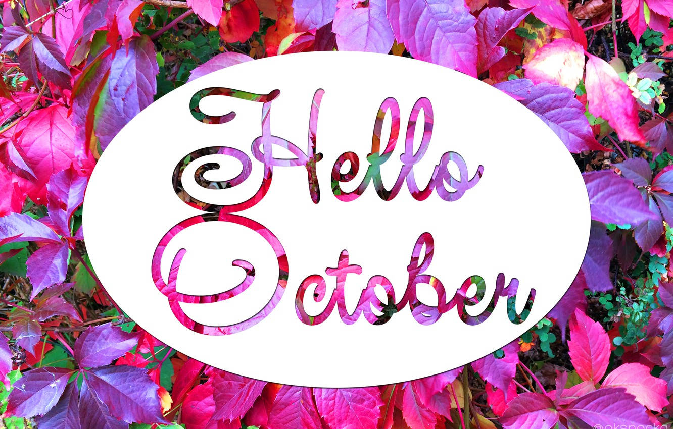 Hello October Pink And Purple Flowers Wallpaper