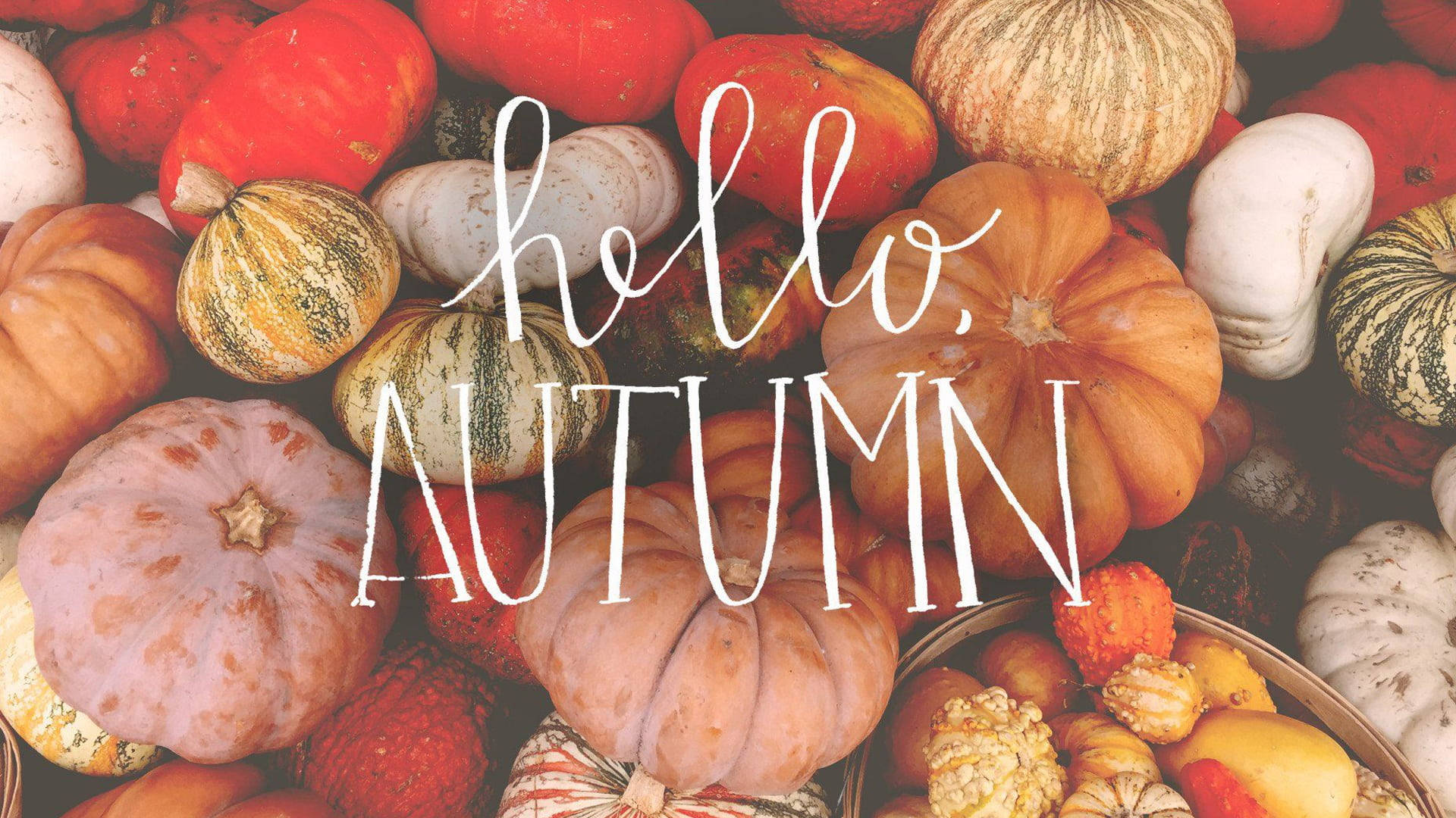 Hello October Pumpkin Pile Wallpaper