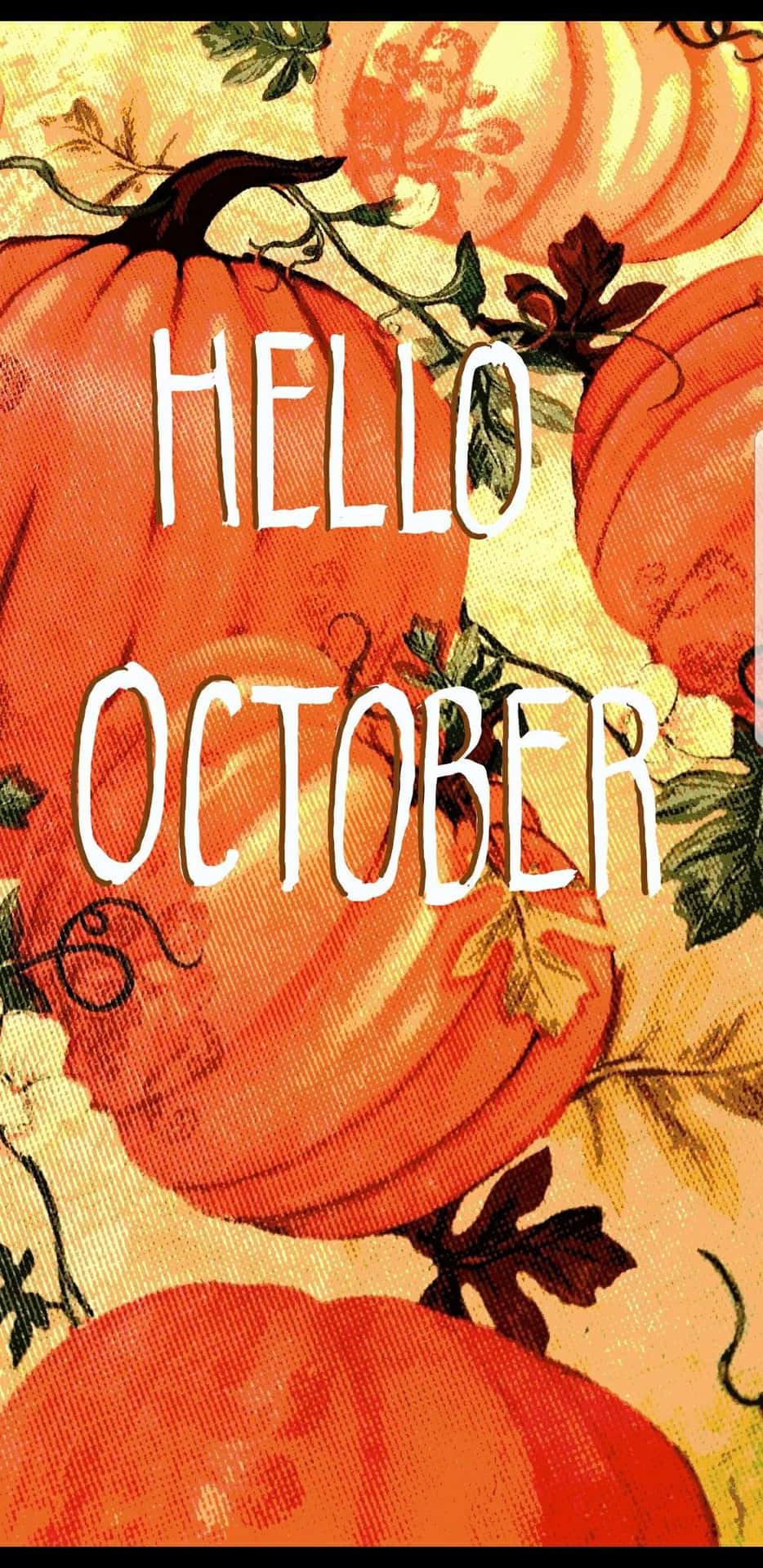 Velkommen Oktober med en festlig græskar vist på din skærm! Wallpaper