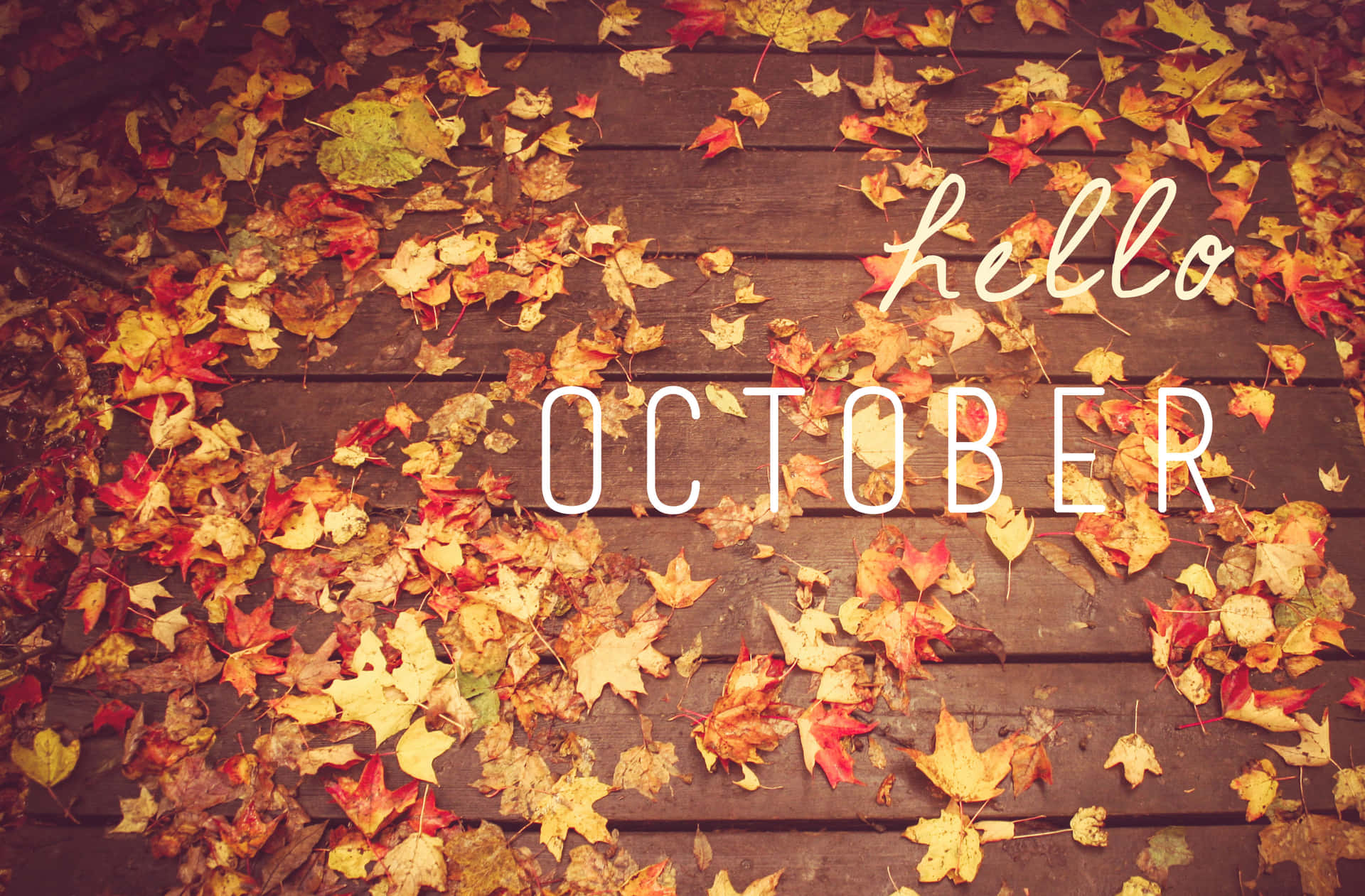 Efteråretspragt: Hej Oktober Med Græskar Wallpaper