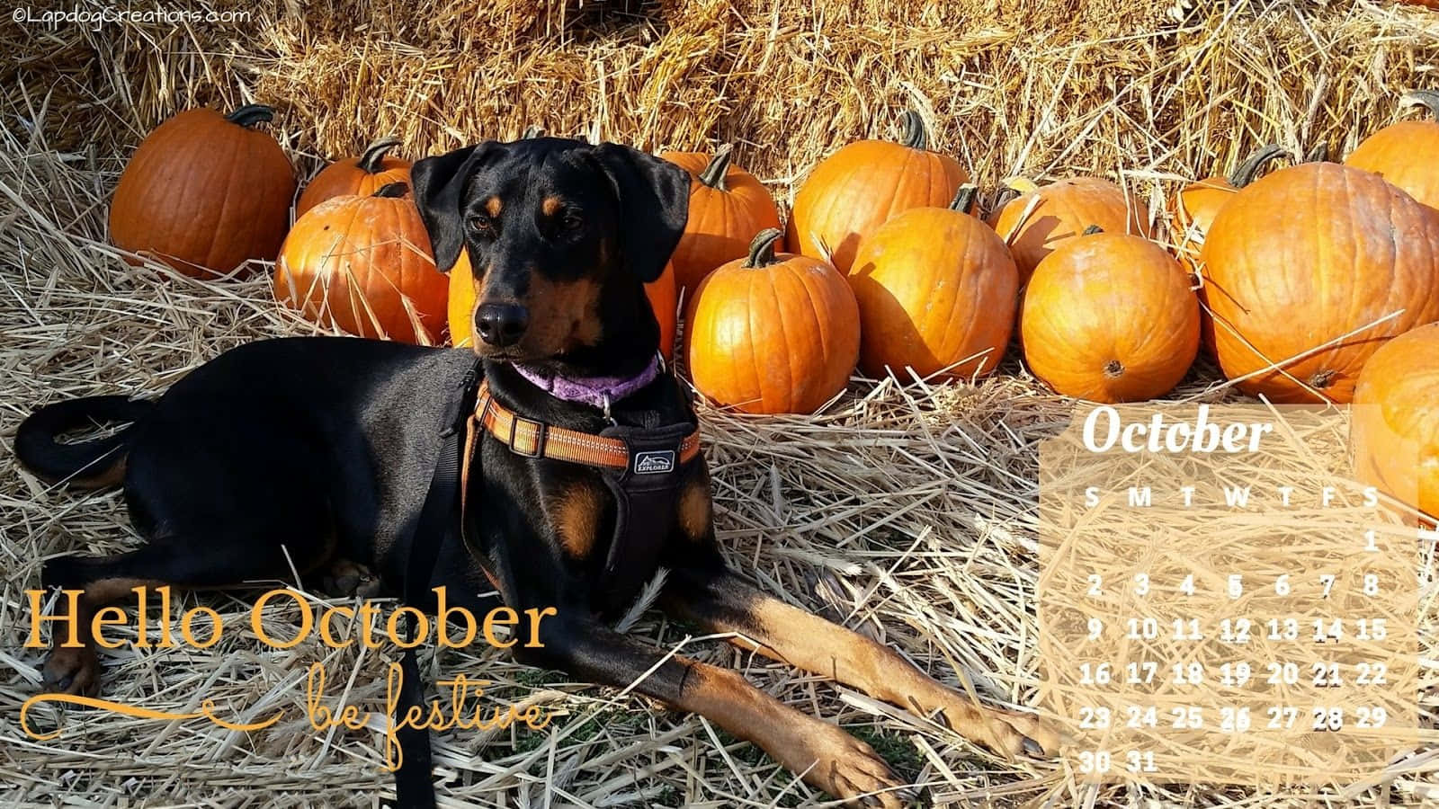 "Welcome to October with a Pumpkin" Wallpaper