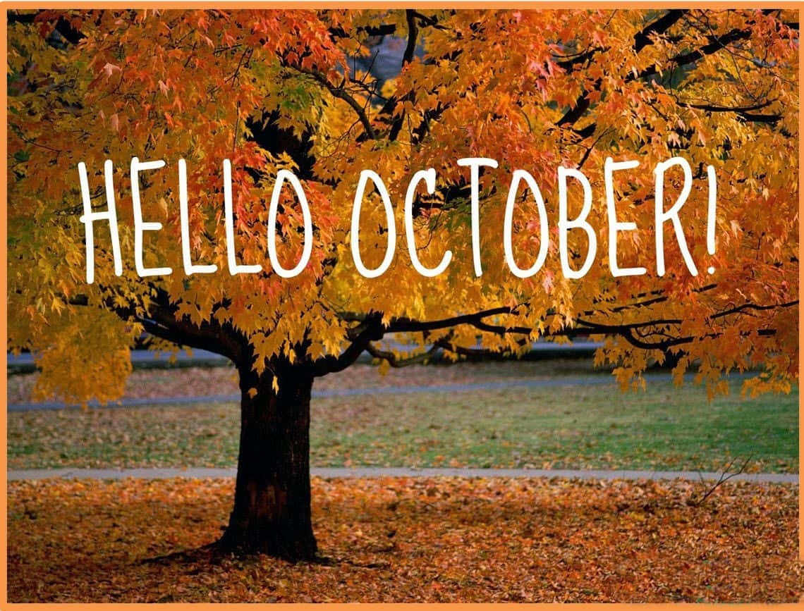 Say 'Hello' to October with this charming carved pumpkin! Wallpaper
