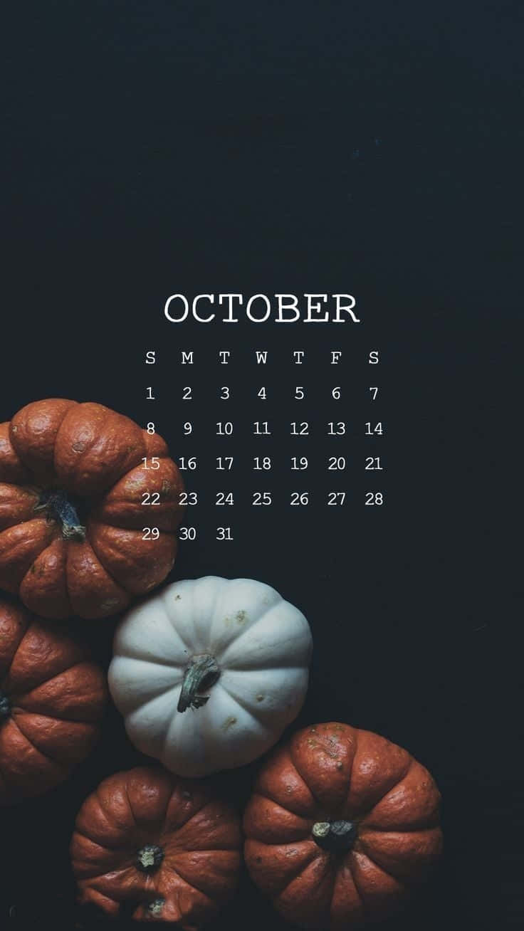 "Welcome to October with a festive pumpkin!" Wallpaper