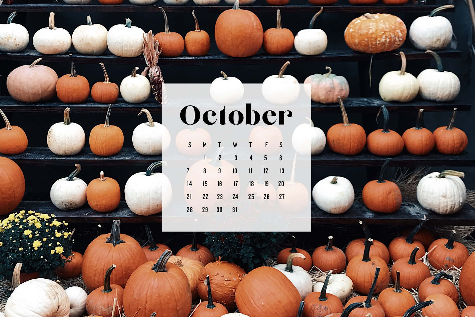 Willkommenim Oktober Mit Einem Kürbis Wallpaper