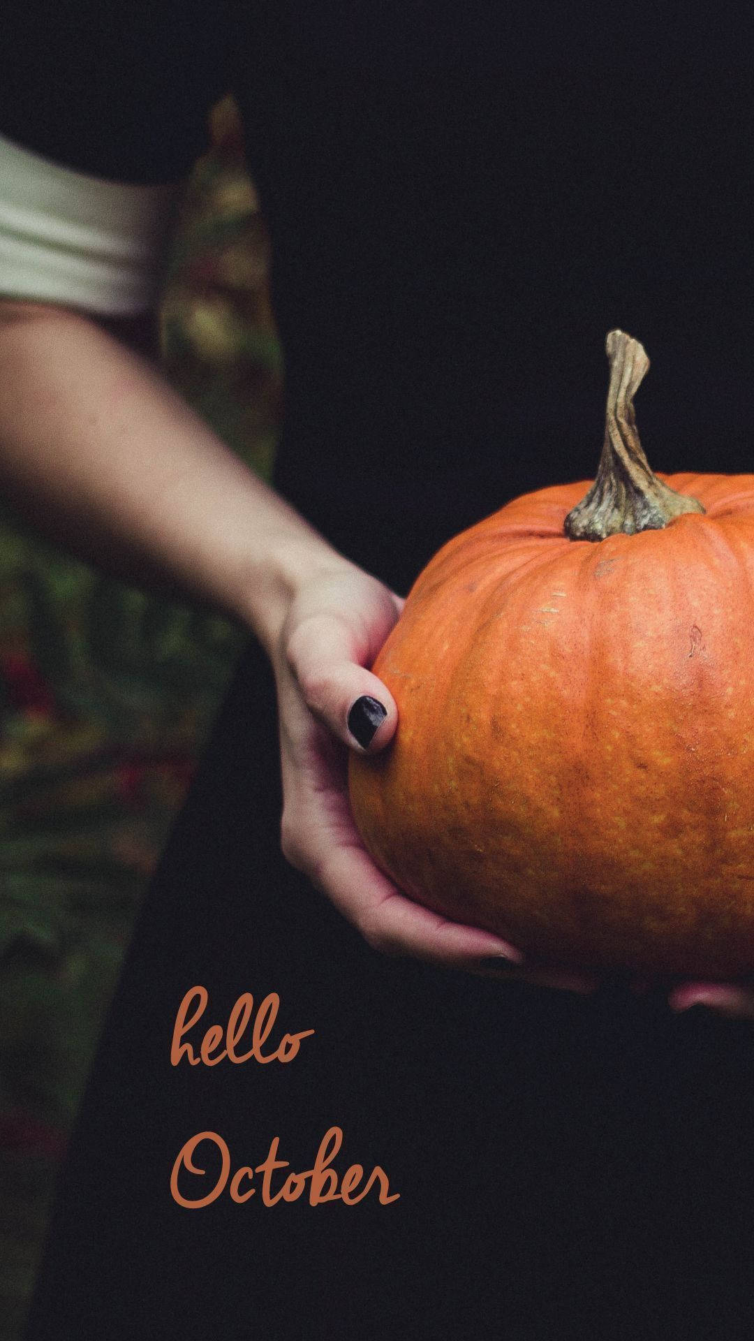 Hello October With Real Pumpkin Wallpaper