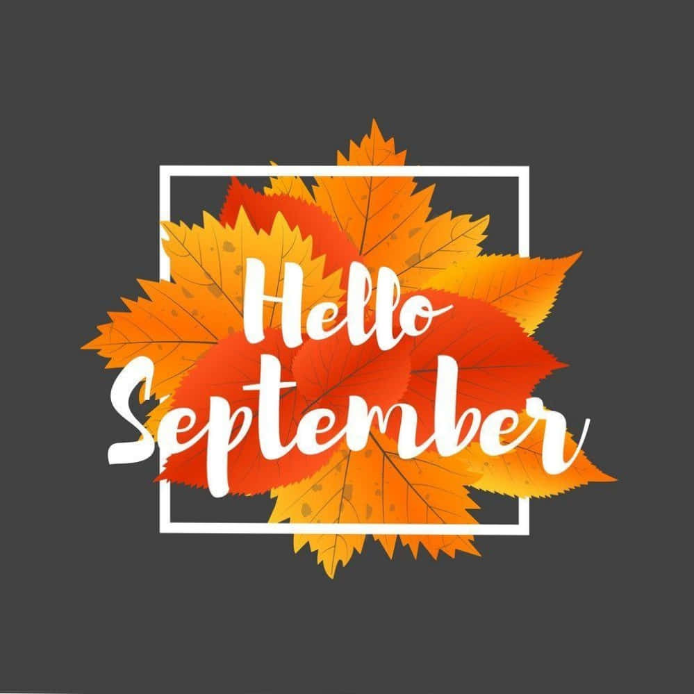 Hello September Greeting With Animated Autumn Leaves Wallpaper