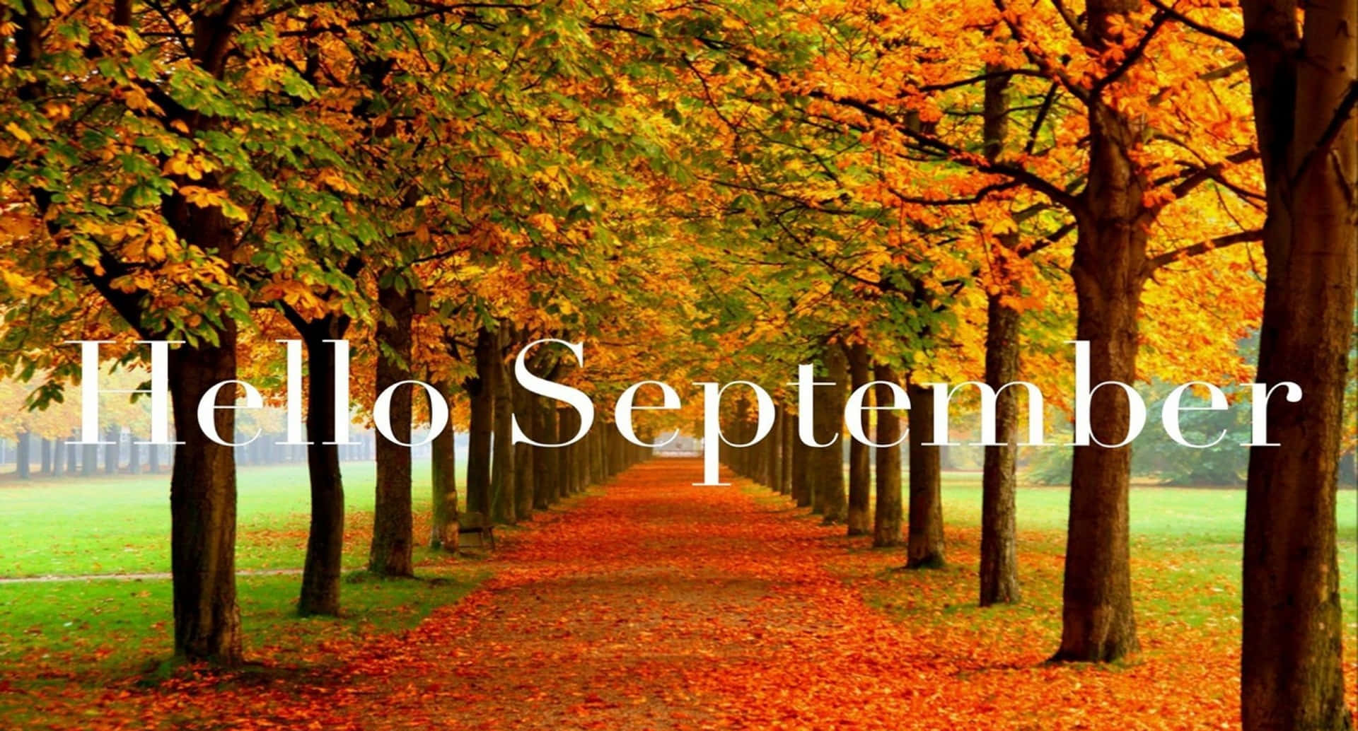 Hello September Greeting During Fall Season Wallpaper