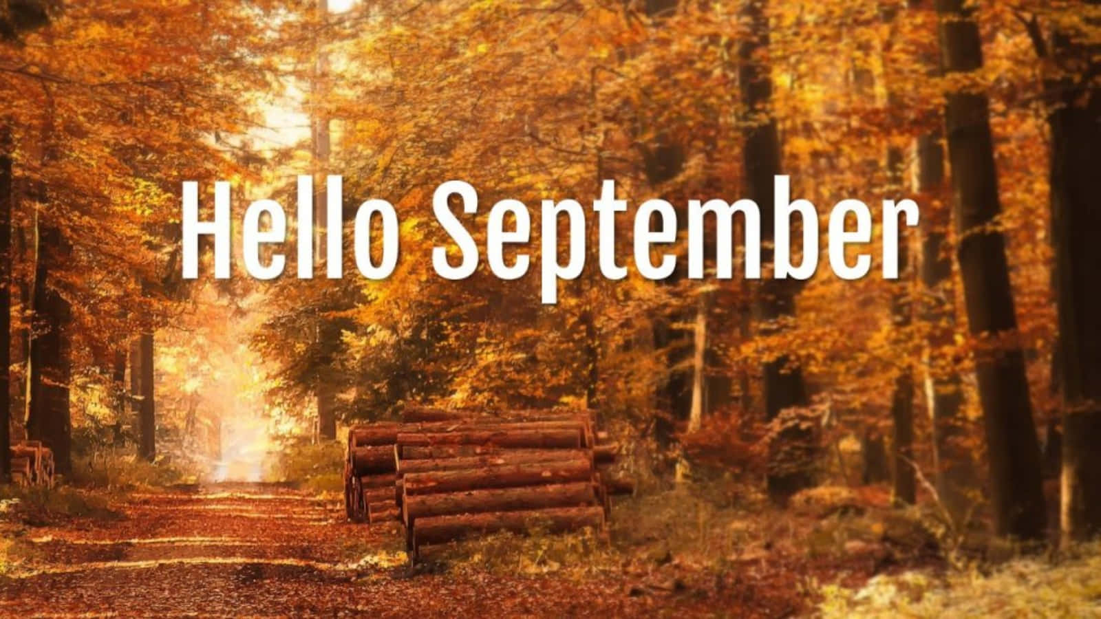 Autumn Fall Road With Hello September Greeting Wallpaper